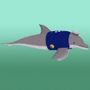 Dorsal Finnigan